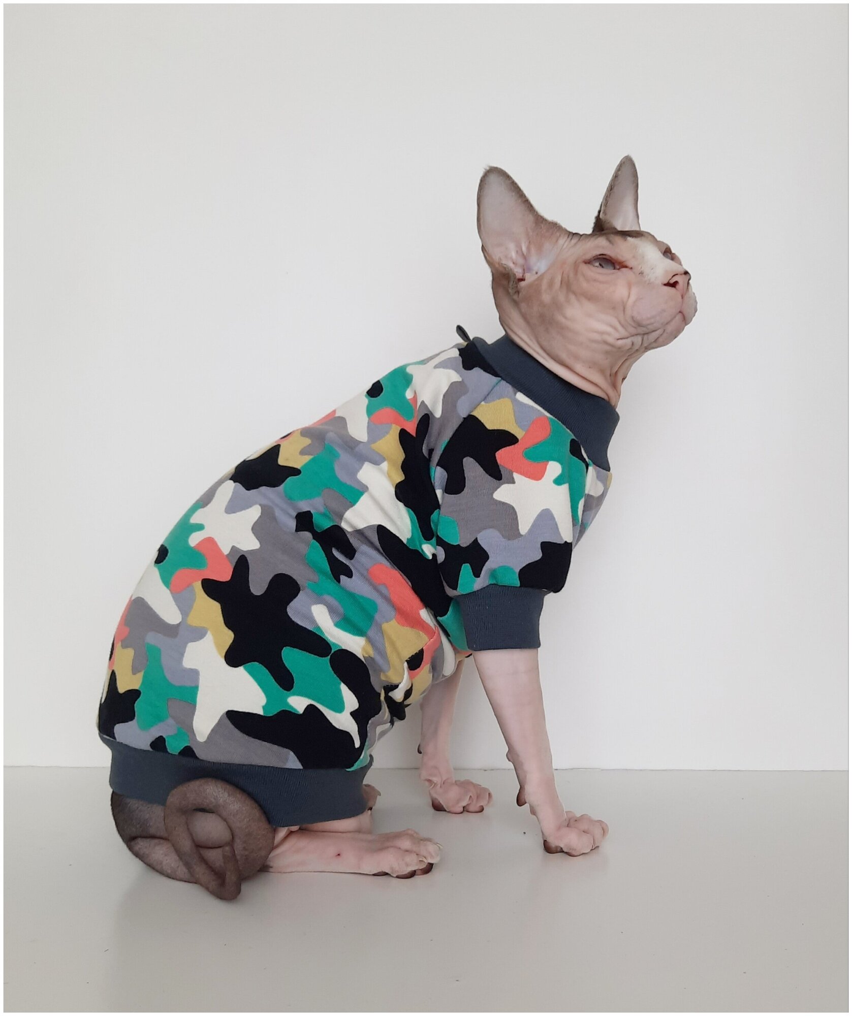 Свитшот для кошек, размер 35 (длина спины 35см), цвет милитари/ толстовка свитшот свитер для кошек сфинкс / одежда для животных - фотография № 1