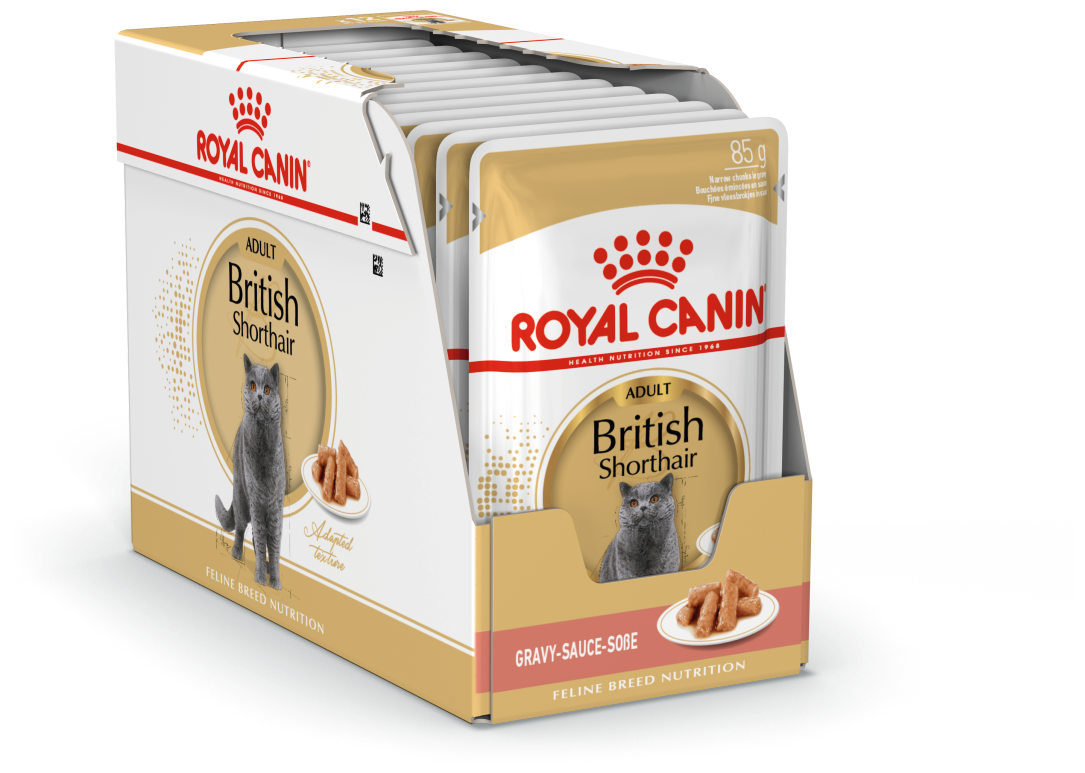 Влажный корм соус для взрослых кошек Royal Canin British Shorthair Adult для кошек породы британская короткошерстная в возрасте от 1 до 12 лет, 24 x 0.085кг