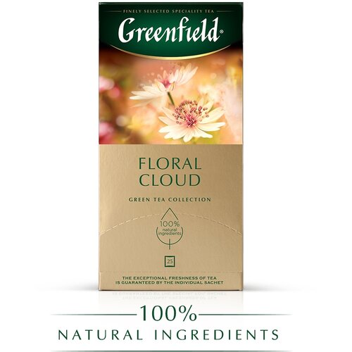 Чай Greenfield Floral Cloud зеленый с ароматом бузины 25 пакетиков, 1007974