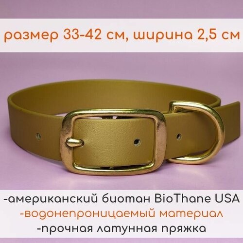 R-Dog Ошейник из биотана (Biothane USA), латунная пряжка, цвет золотой, длина 33-42 см, ширина 2,5 см