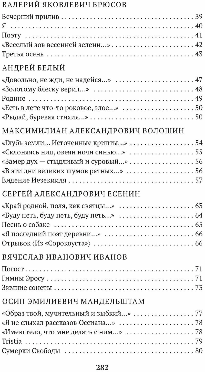 Портреты русских поэтов (Эренбург Илья Григорьевич) - фото №10