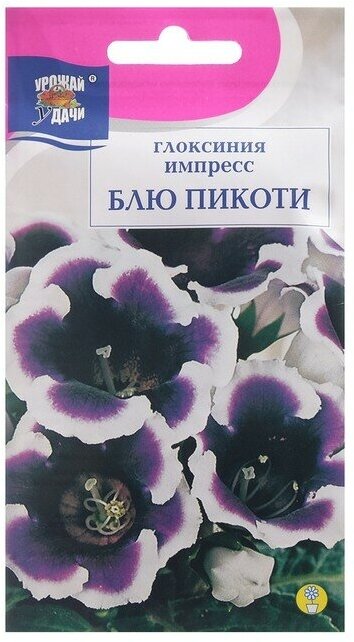 Урожай удачи Семена цветов Глоксиния "Импресс Блю Пикоти", 3 шт. в амп.