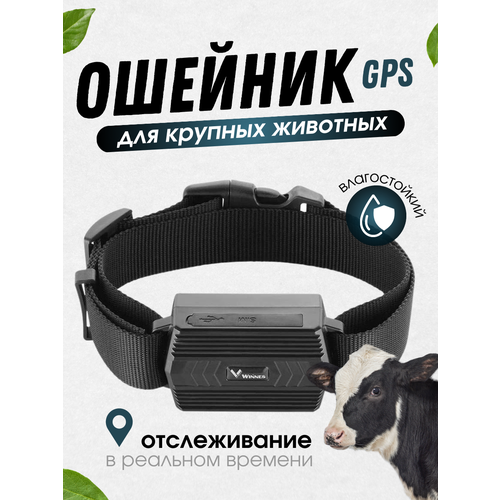 TK STAR GPS ошейник для животных TK STAR TK935 tk star gps ошейник для животных tk star tk935