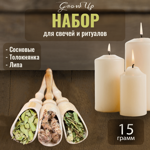 Набор сухих трав для свечей и ритуалов Сосновые почки, Толокнянка, Липа, 3 уп по 5 гр