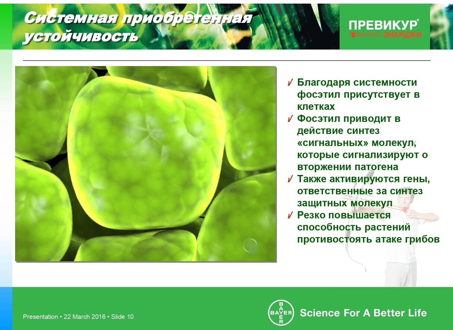 Фунгицид Превикур Энерджи 50 мл - фотография № 12