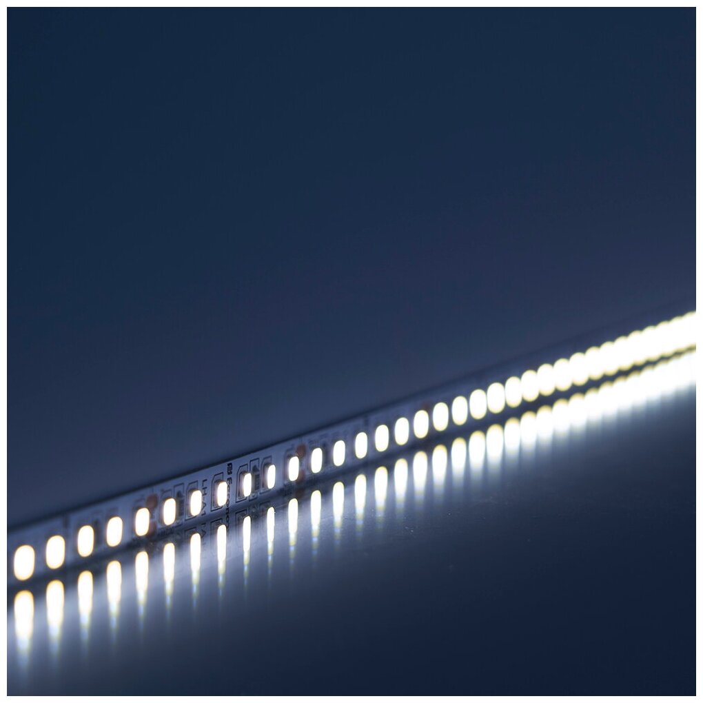 Светодиодная LED лента Feron LS502, 180SMD(2835)/м 16Вт/м 24V 5000*10*1.22мм 6000К