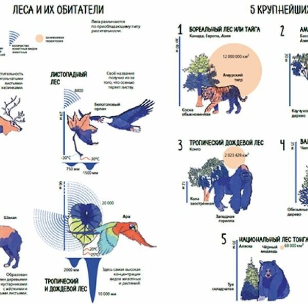 Планета Земля. Мир вокруг нас в инфографике - фото №8