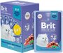Пауч Brit Premium Промо-Набор 5+1 для котят, Телятина с Морковью в желе 85г