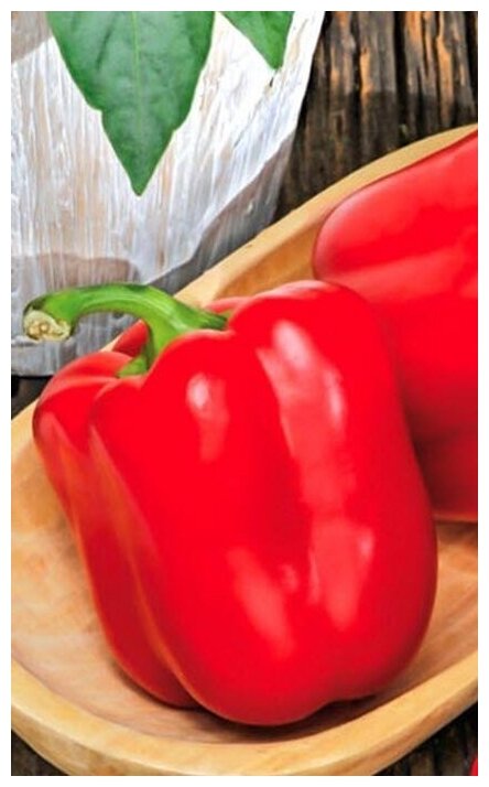 Семена овощей и ягод СеДеК - фото №3