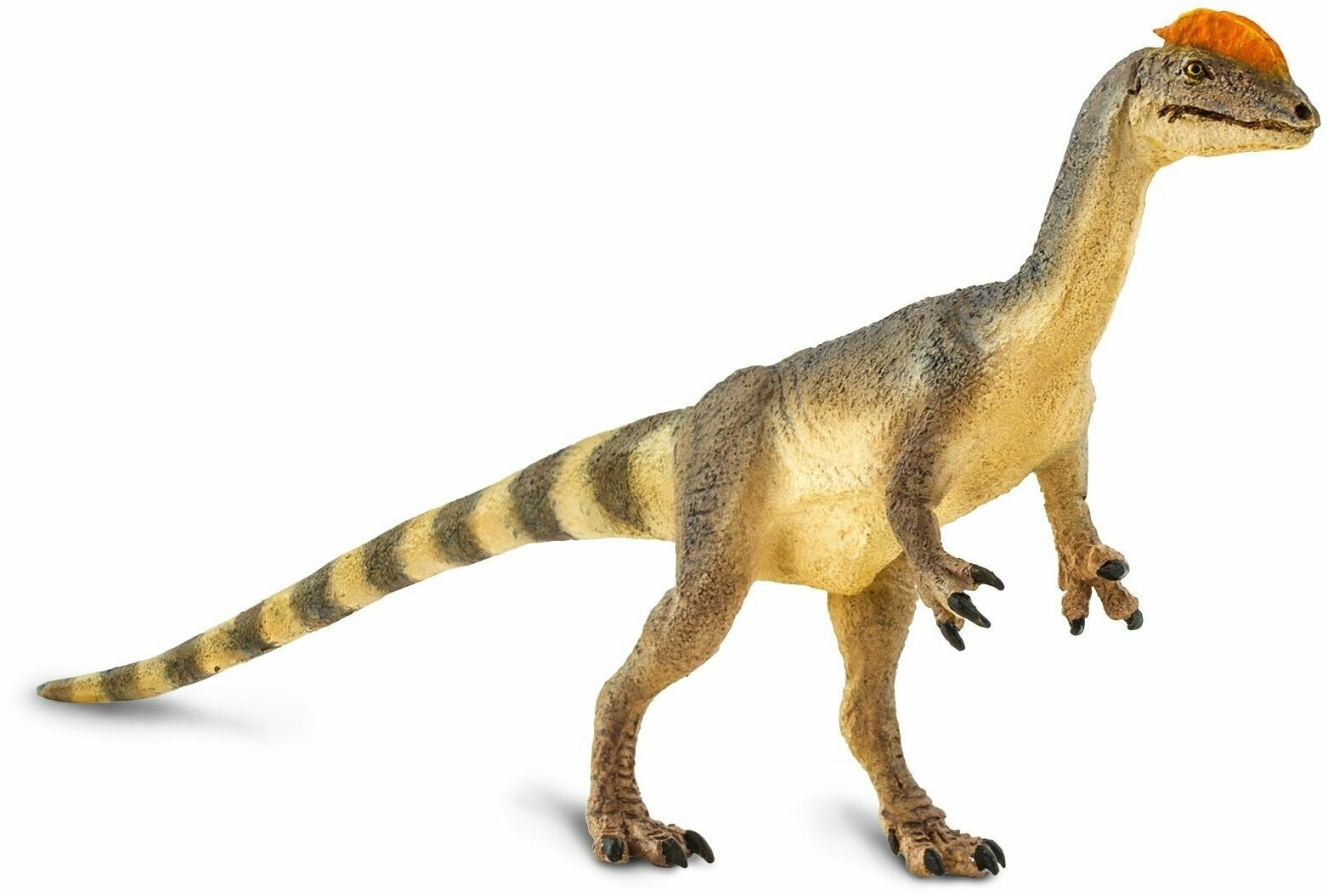 Фигурка животного Safari Ltd Дилофозавр, для детей, игрушка коллекционная, 100508