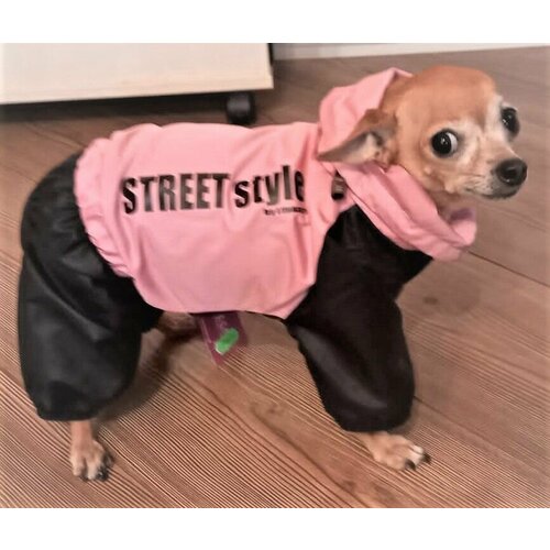 Дождевик для собак без подклада Lim Street Style розовый для девочки на грязную, мокрую, ветреную погоду