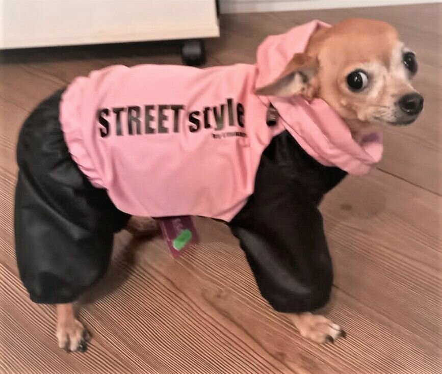 Дождевик для собак без подклада Lim Street Style розовый для девочки на грязную, мокрую, ветреную погоду - фотография № 1
