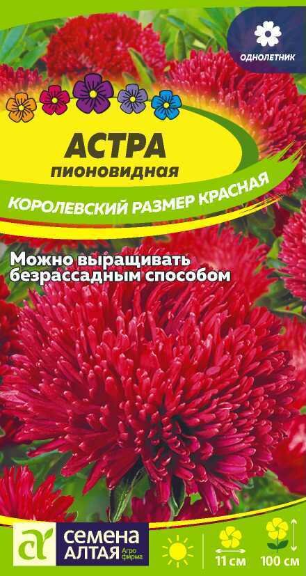 Семена Астра Королевский размер Красная 0.2г Одн 100см (Семена Алтая)