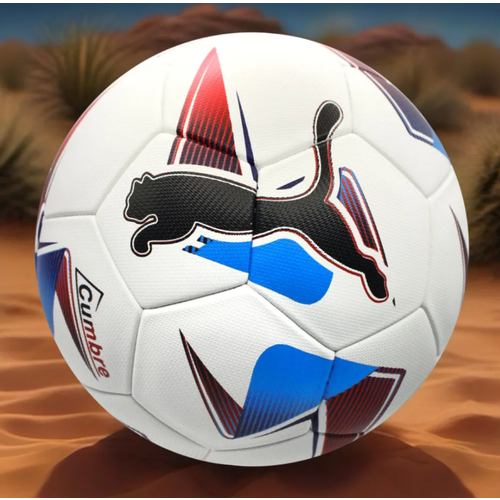 Мяч футбольный PUMA Cumbre CONMEBOL Copa America 2024 размер 5