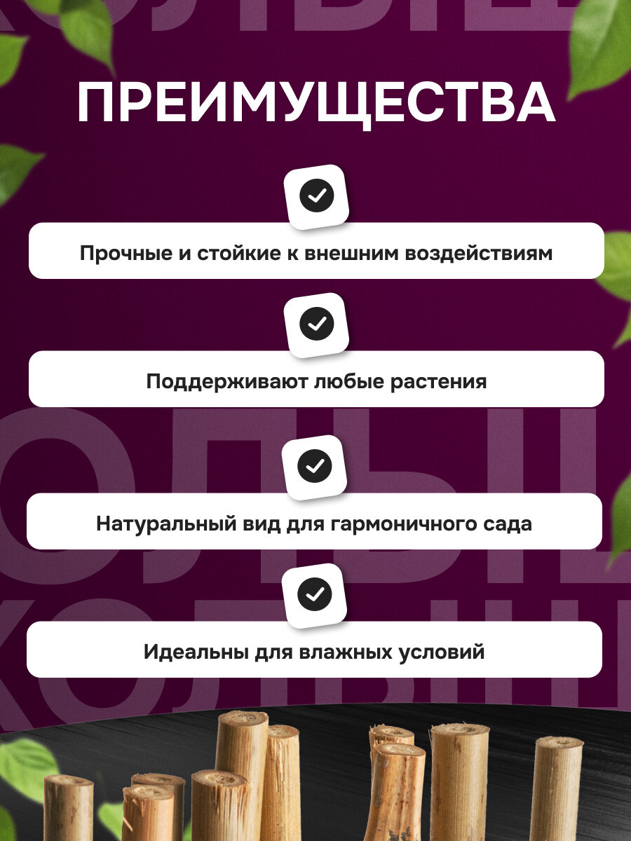 Изображение Опора бамбуковая для растений и цветов 45 см 6/8 10 шт.