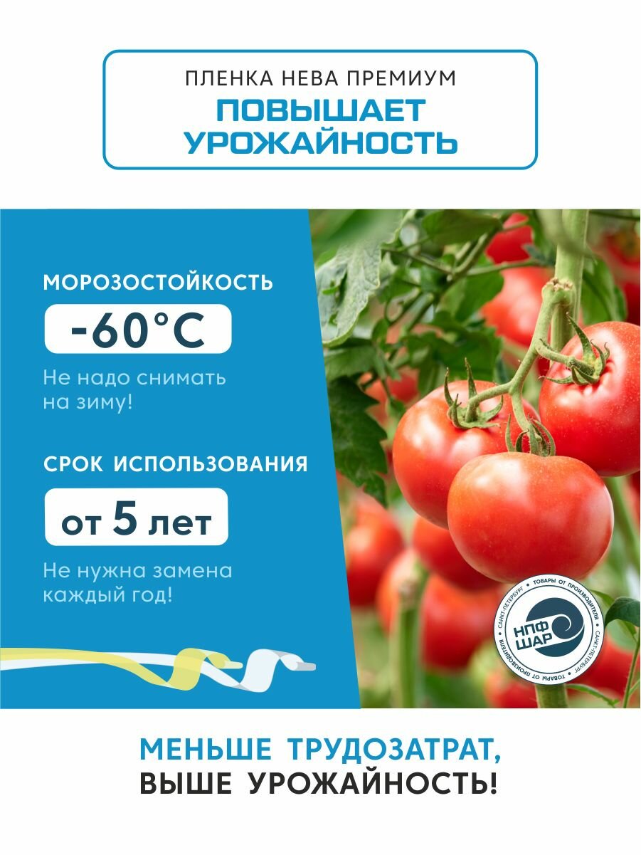 Пленка для теплиц и парников нева премиум 150 мкм, 4х6 м — фото 1