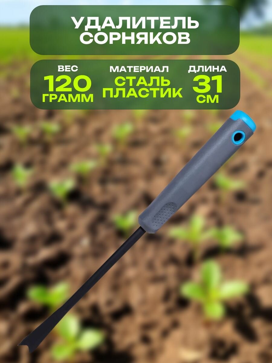 Строительство 21-го века