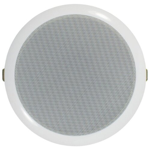 Громкоговоритель TANTOS TSo-PW3a 112000₽