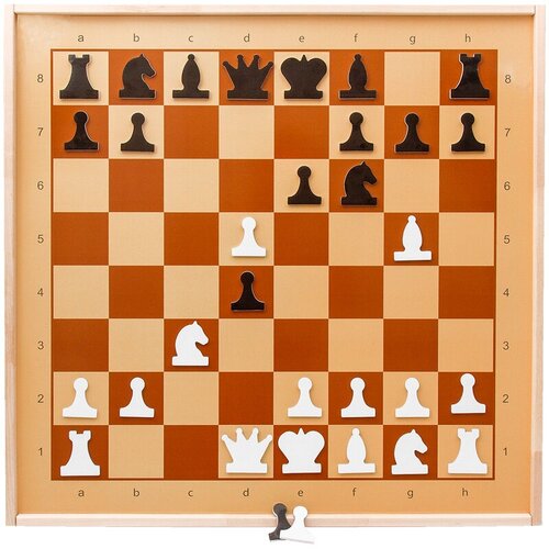 Шахматы демонстрационные настенные, Десятое королевство, магнитные, поле 70*70см шахматы десятое королевство демонстрационные магнитные 1756