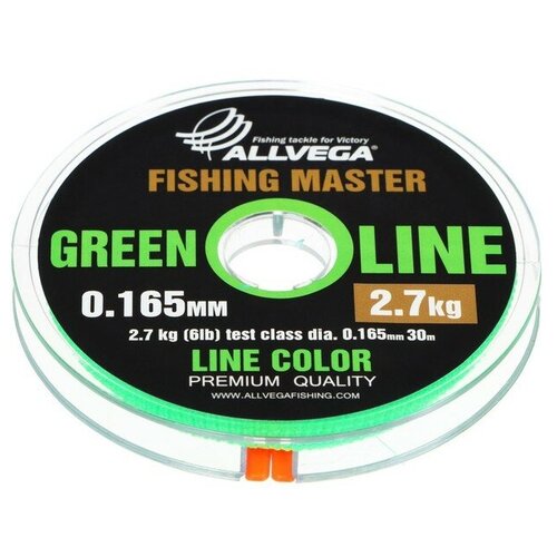 Леска монофильная ALLVEGA Fishing Master 30м 0,165мм, 2,7кг, зеленая