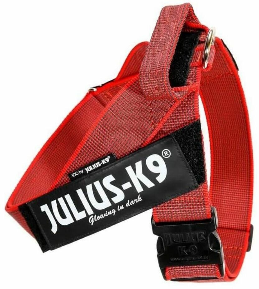 JULIUS-K9 шлейка для собак Color&Gray IDC Mini-mini, красный - фотография № 9