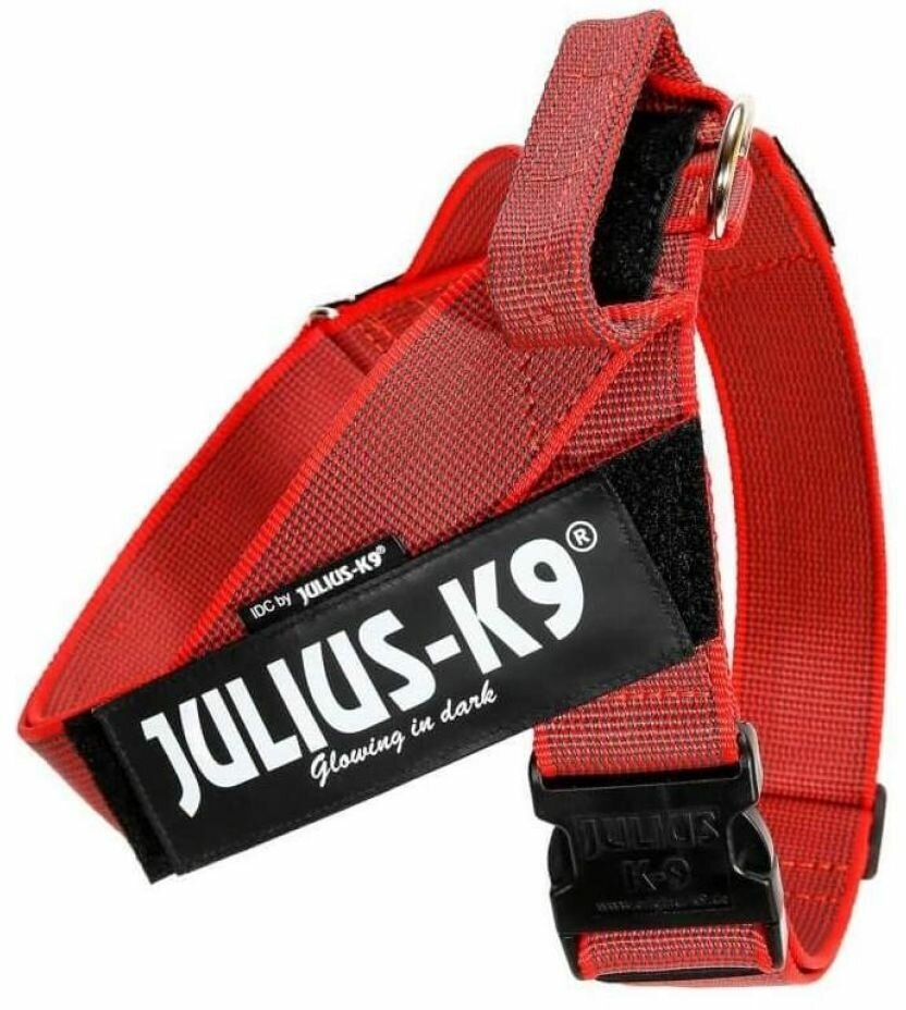 JULIUS-K9 шлейка для собак Ремни Color & Gray IDC 2 (28-40 кг) (67-97 см., Синий) - фото №8