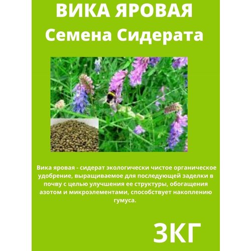 Вика Яровая, семена сидерат 3 кг