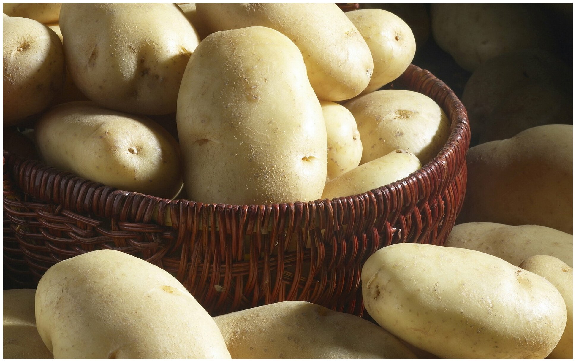 Картофель "Джувел", в сетке 2 кг, защищенный от вирусов, с отличным картофельным ароматом и содержанием крахмала 13%, отличается повышенной устойчивос - фотография № 4