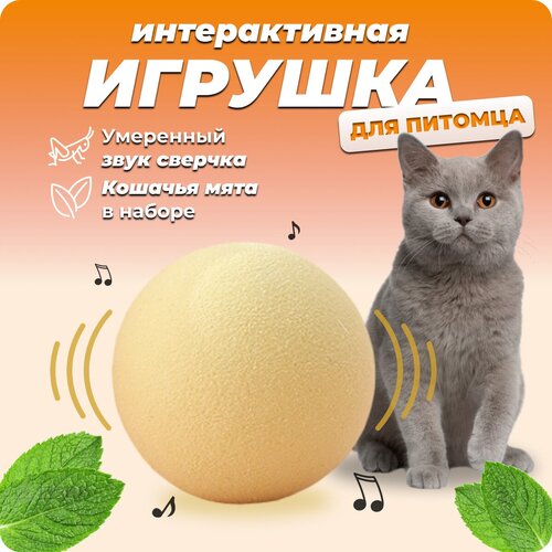 Интерактивная игрушка дразнилка для кошек с мятой, звук сверчка