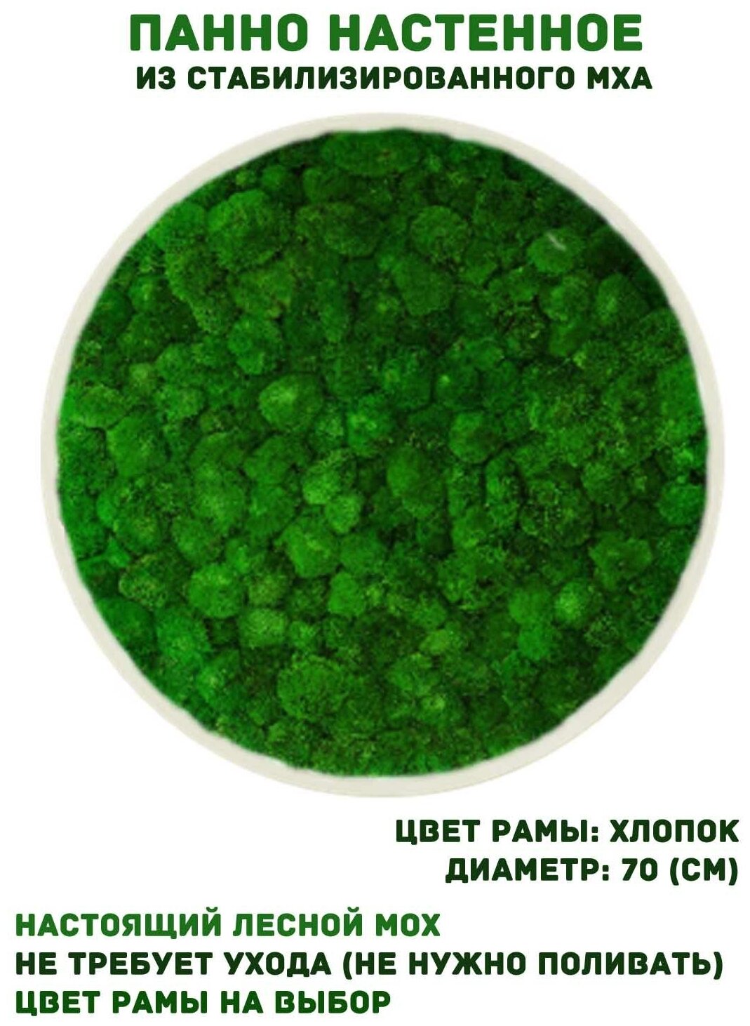 Круглое панно из стабилизированно мха GardenGo в рамке цвета хлопок, диаметр 70 см, цвет мха зеленый