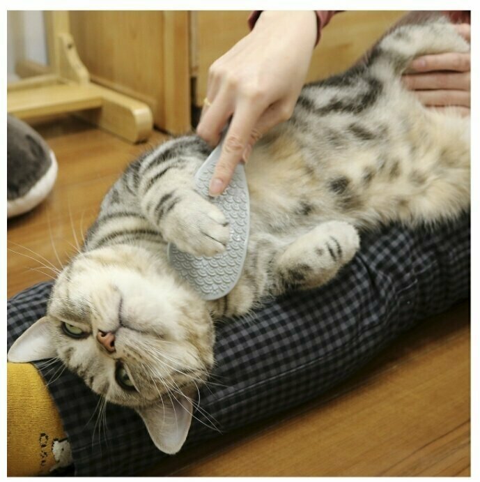 Массажная щетка Japan Premium Pet для улучшения и восстановления роста шерсти для кошек и собак, массажер. - фотография № 3