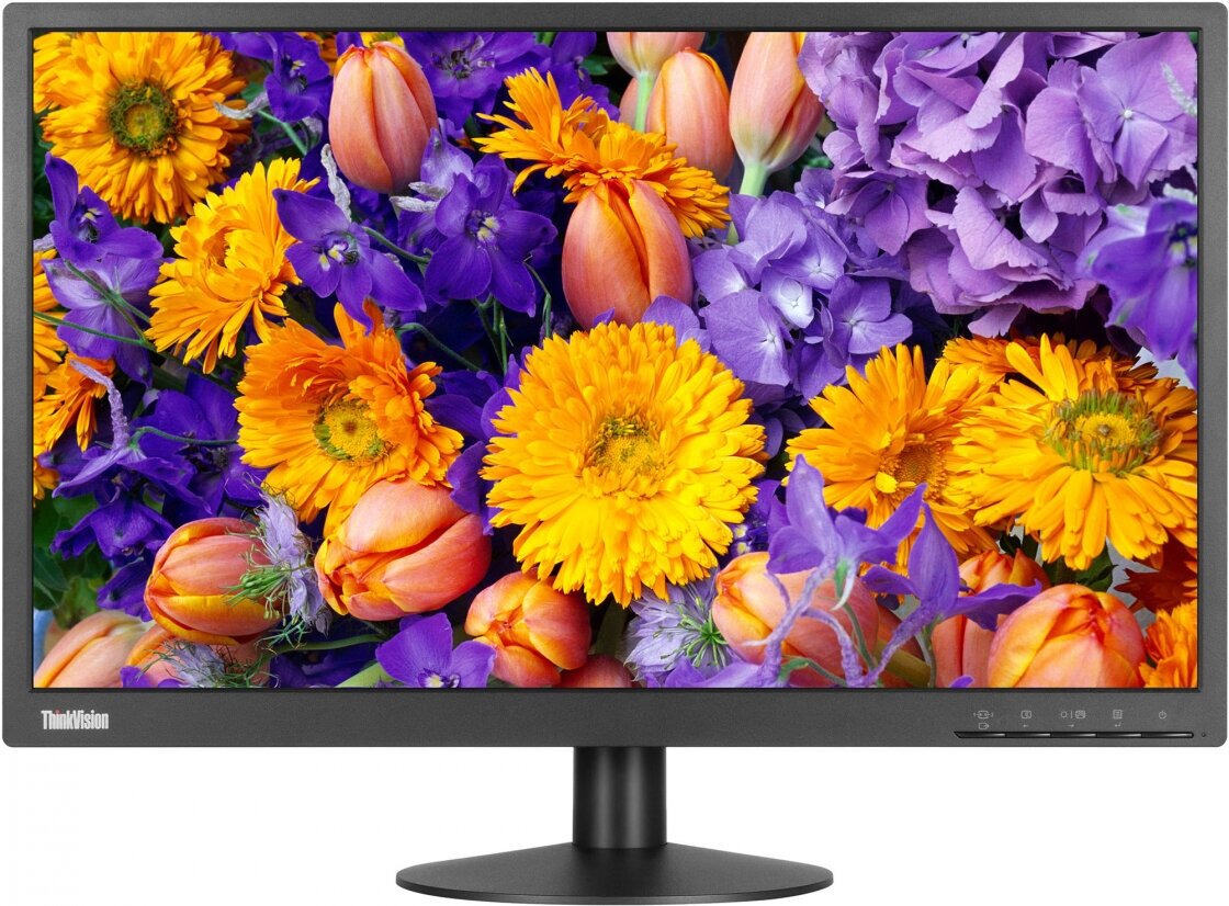 238" Монитор Lenovo ThinkVision E24-10 1920x1080 60 Гц IPS