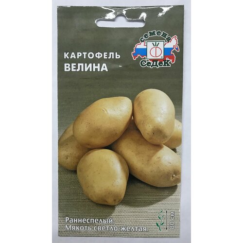 Картофель велина, 1 пакет, семена 0,02г, раннеспелый, желтая кожура, светло-желтая мякоть семена картофель велина