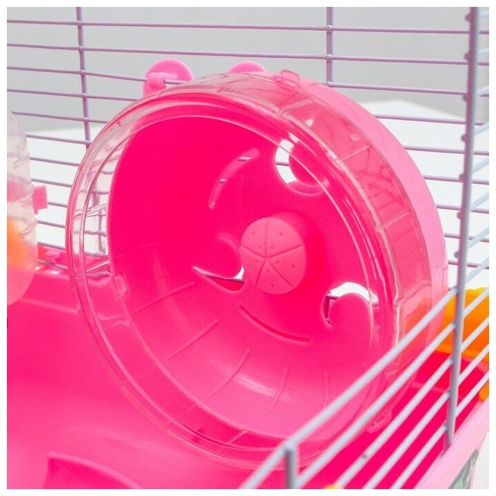 Пижон Клетка для грызунов "Пижон", 31 х 24 х 30 см, розовая - фотография № 9