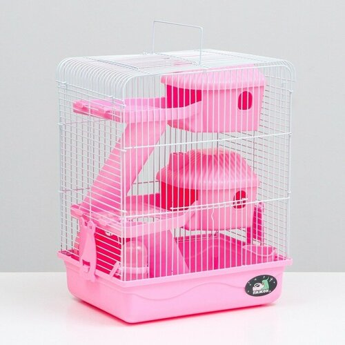 Клетка для грызунов Пижон двухэтажная с наполнением 31х24х40 см, розовая рубашка розовая клетка ampir