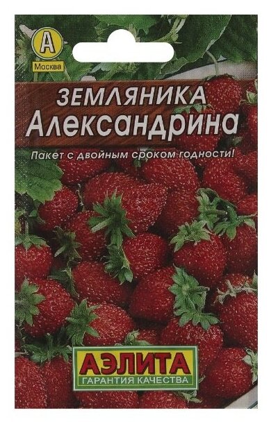 Семена Земляника «Александрина» (Лидер)