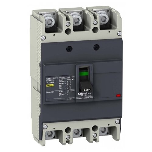 EZC250N3100 Автоматический выключатель EZC250N 25 kA/400В 3П/3T 100 A Schneider Electric