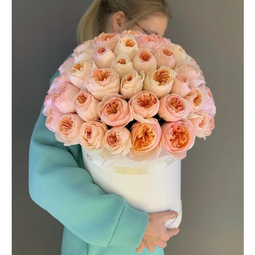 Роза Джульетта, пионовидные розы в коробке 51 шт, красивый букет цветов, шикарный, цветы премиум, букет роз.