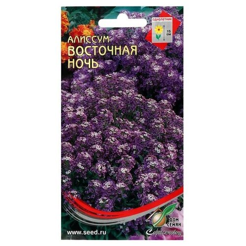 Семена цветов Алиссум Восточная ночь, 70шт