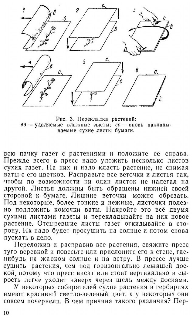 Книга Самодельные коллекции по ботанике и зоологии. Знай и умей - фото №6