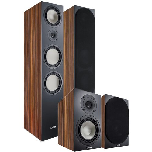 Напольная акустика Canton GLE 90 GLE 20 Makassar 21800000₽