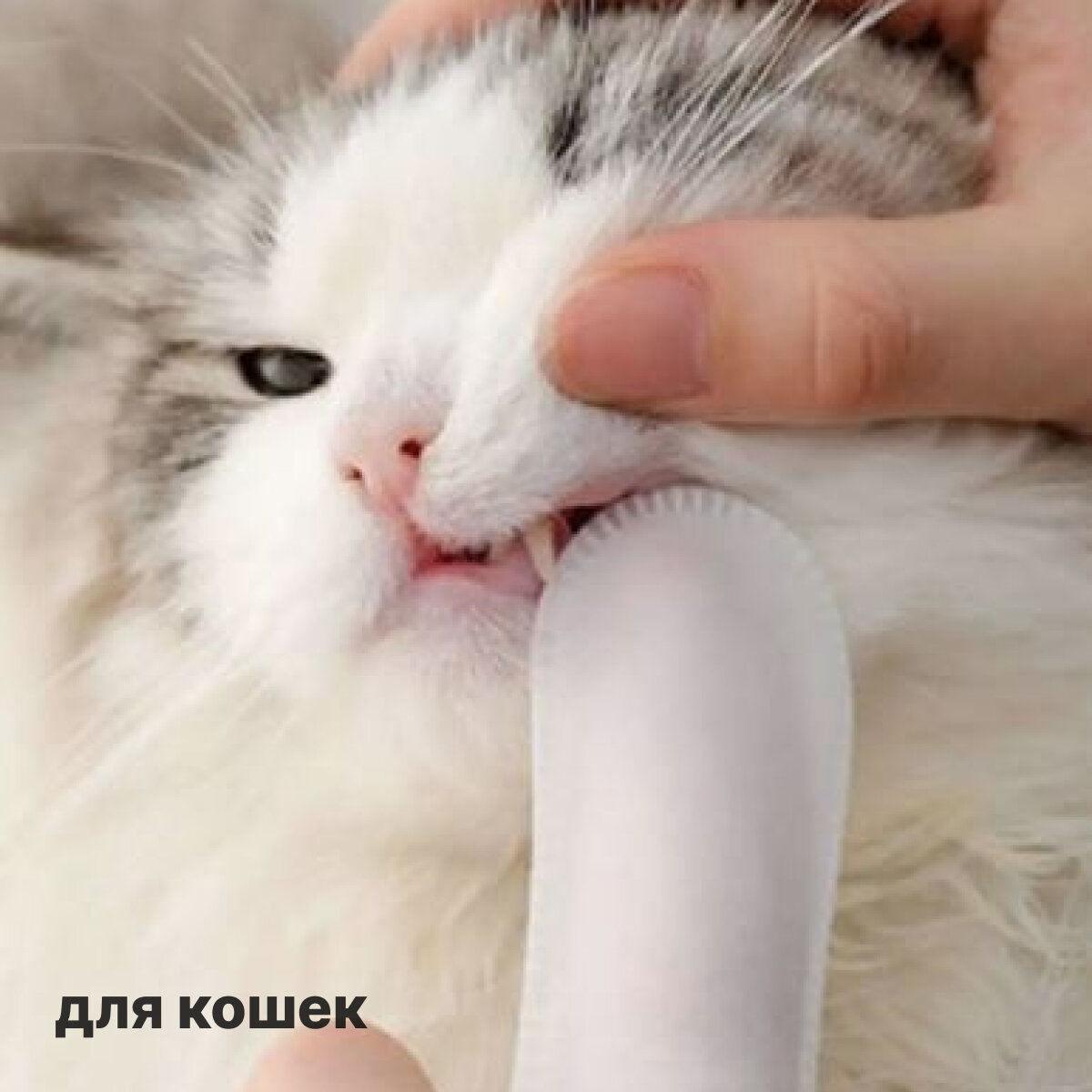 Влажные салфетки для зубов собак и кошек 50шт