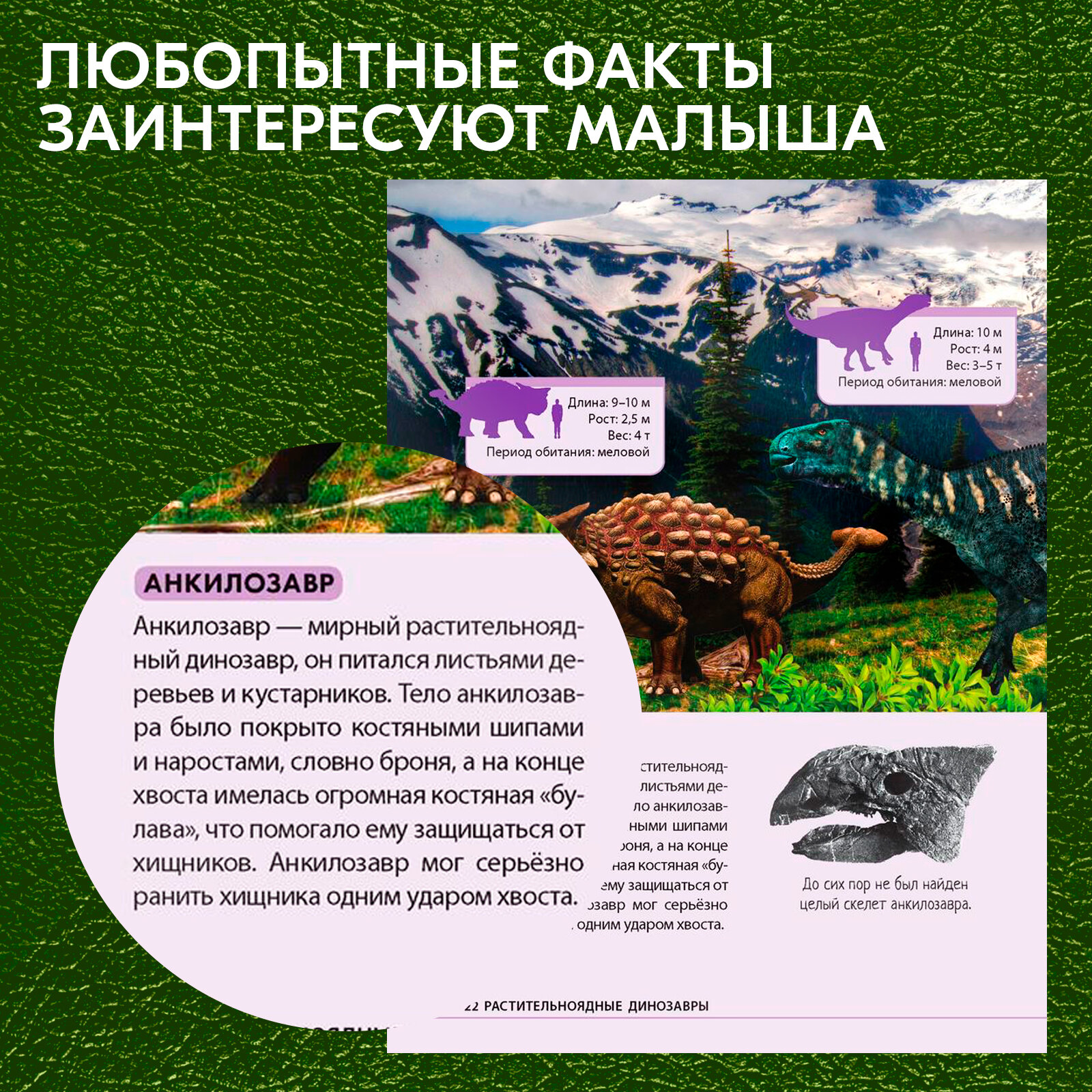 Детская энциклопедия в твёрдом переплёте «Удивительные динозавры», 48 страниц, для детей и малышей