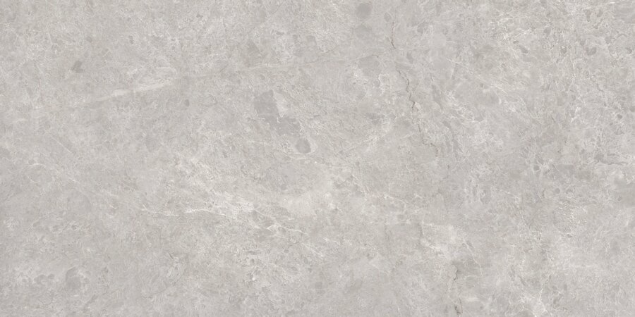 фото N20488 Tokyo Grey Polished 80x160