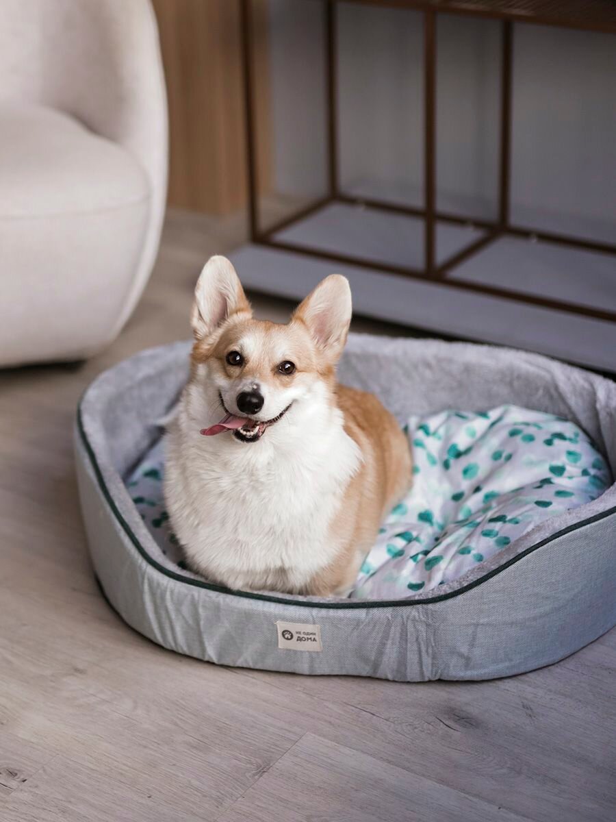 Изображение Лежанка для животных, для кошек, для собак, "Не Один Дома" Лесная полянка, серый, S, 50х35х14 см