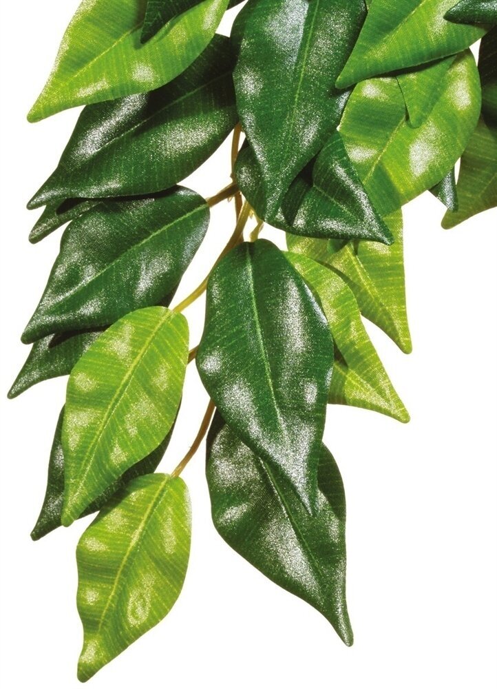 Тропическое растение Exo Terra Jungle Plants пластиковое Фикус большое 70х20 см.