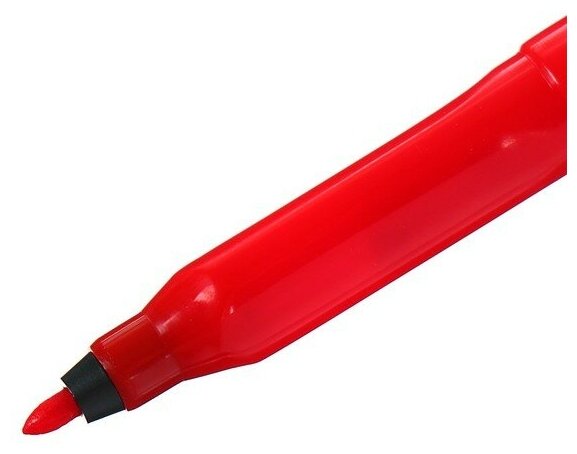 Фломастеры Centropen Eco Tri 12 цветов из пищевых красителей - фото №2