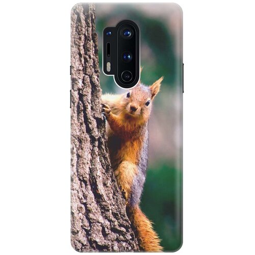 фото Re:pa чехол - накладка artcolor для oneplus 8 pro с принтом "белочка"