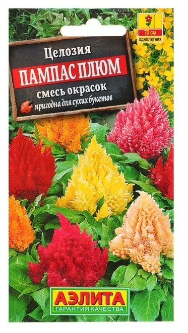 Семена цветов Целозия перистая 'Пампас Плюм' смесь окрасок О 03 г