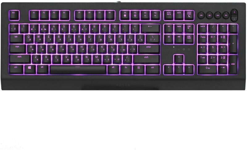 Клавиатура Razer Cynosa V2